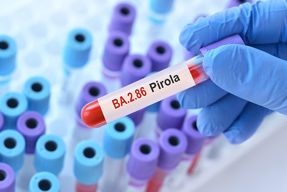 Витамины и минералы